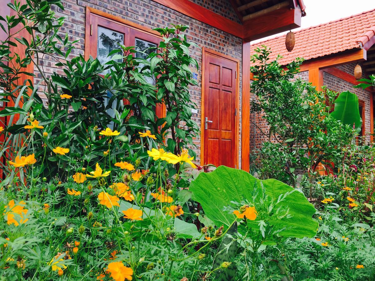 Tam Coc Friendly Homestay Ninh Binh Exterior photo