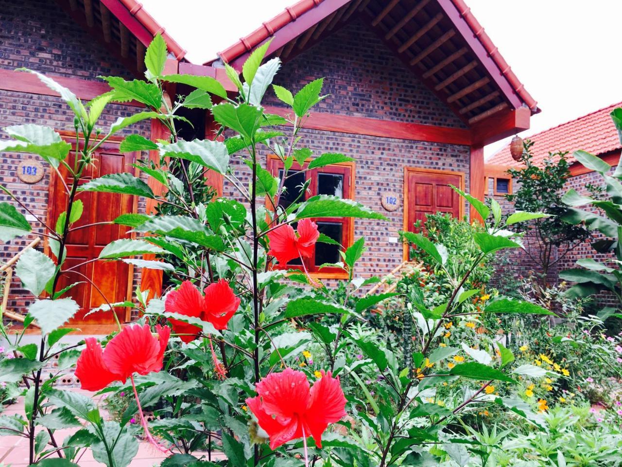 Tam Coc Friendly Homestay Ninh Binh Exterior photo