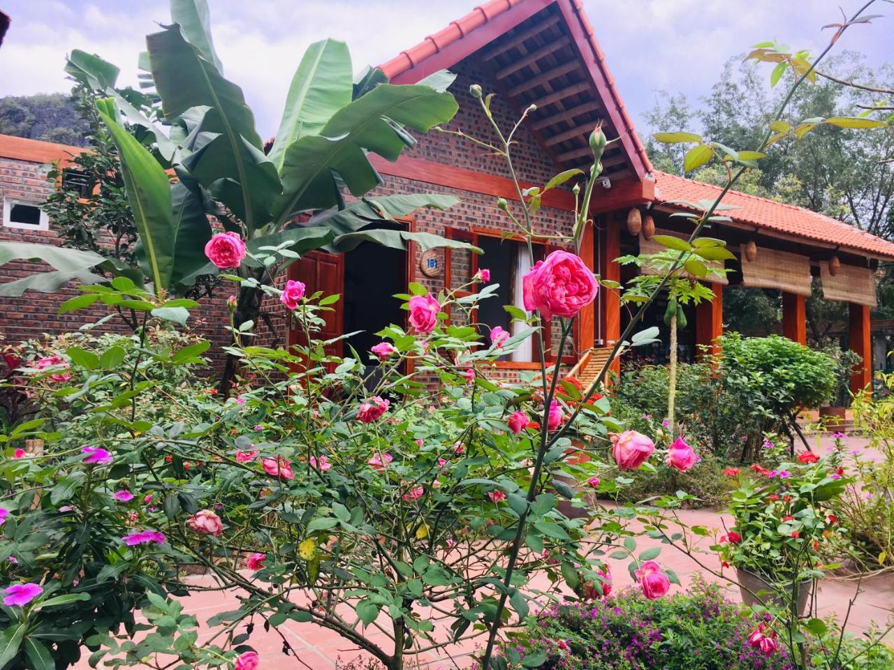 Tam Coc Friendly Homestay Ninh Binh Exterior photo